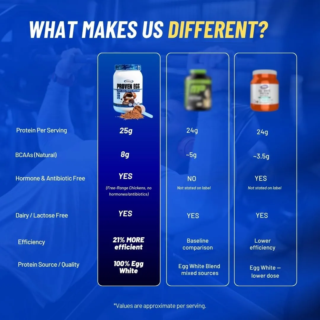 Gaspari Nutrition Gaspari Nutrition Proven Egg White Protein Powder - Angle View