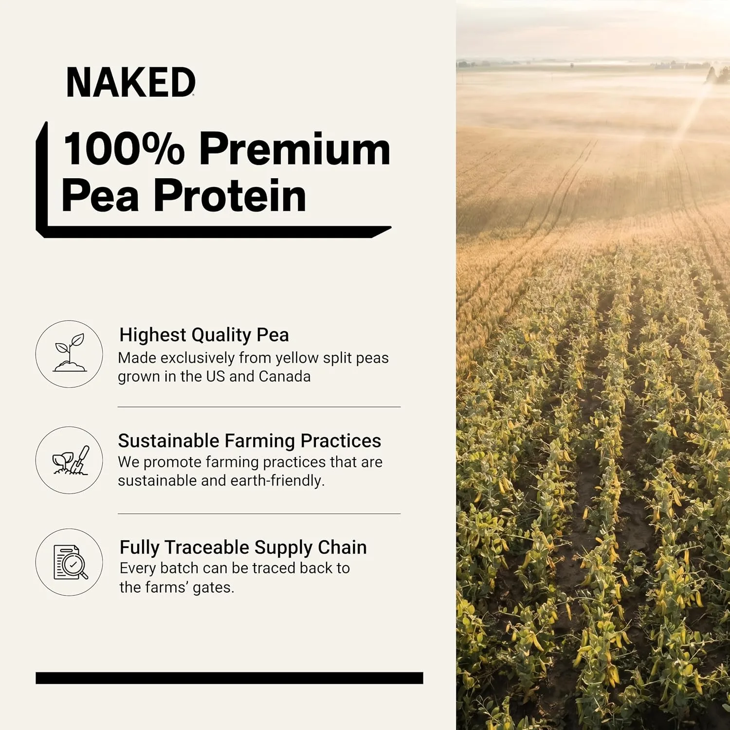 Naked Nutrition Naked Pea Vanilla Protein Isolate Powder - Angle View