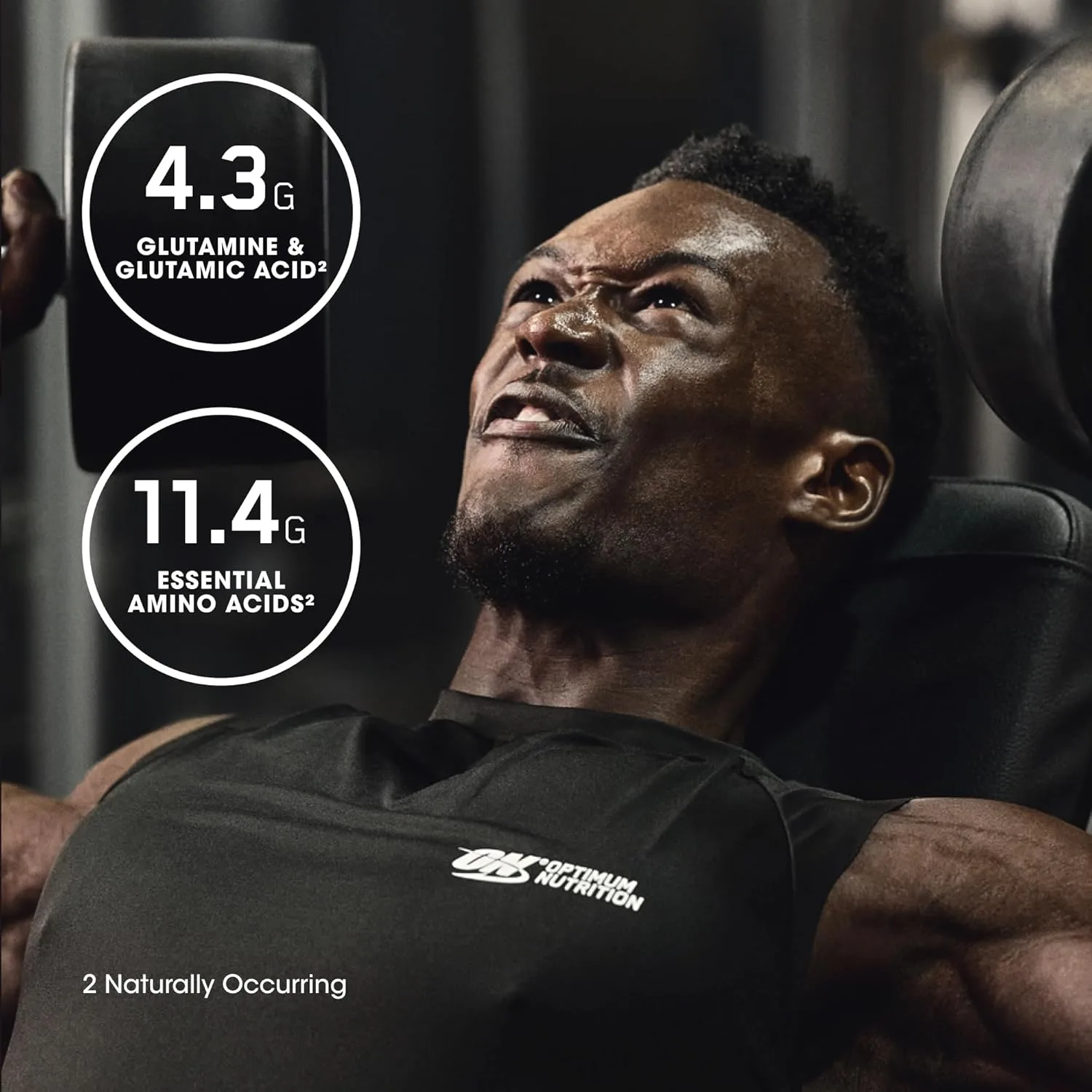 Optimum Nutrition Optimum Nutrition Gold Standard 100% Isolate - Back View
